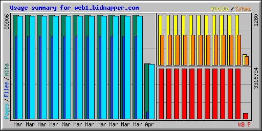 Usage summary for web1.bidnapper.com
